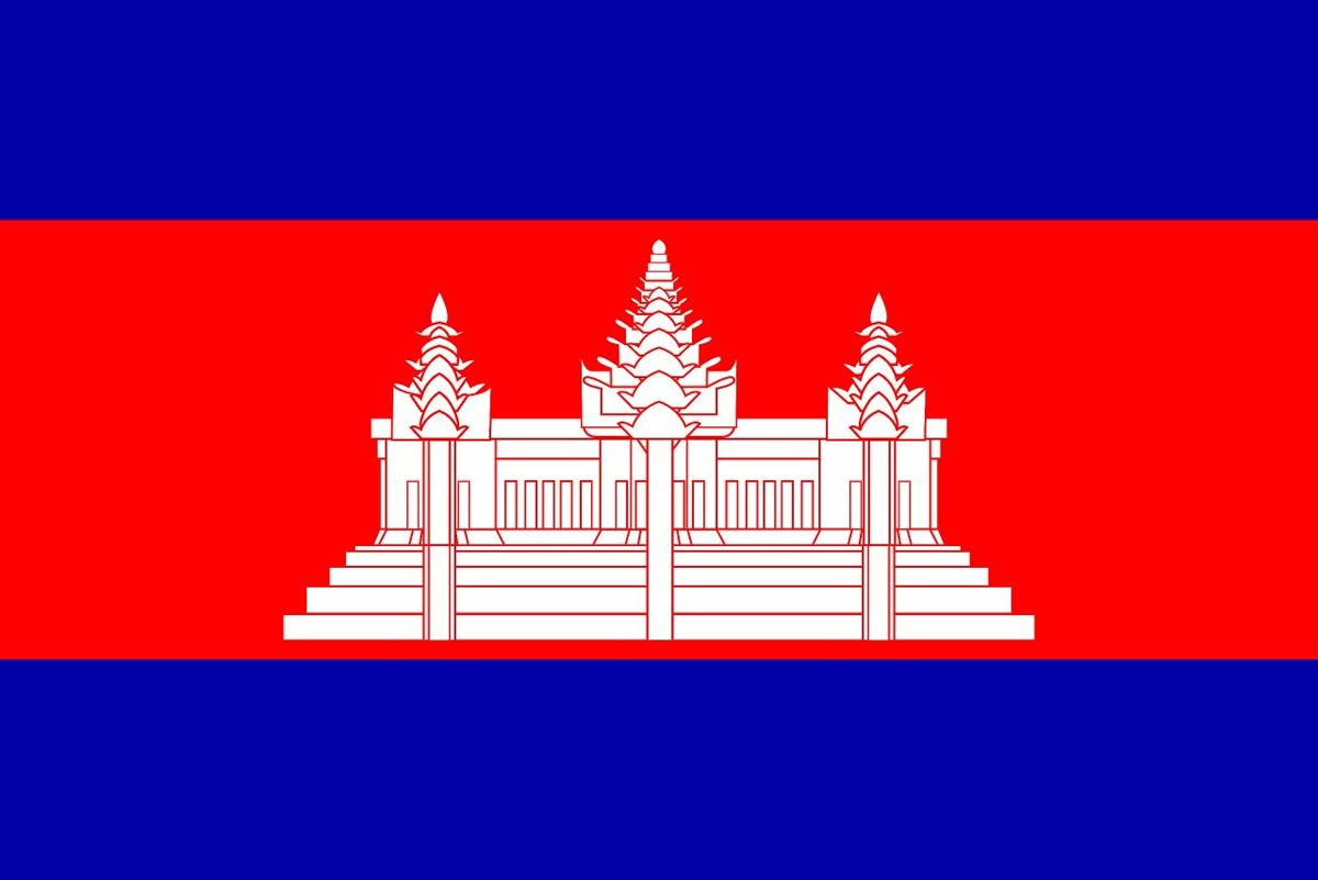 Jual ginjal kamboja